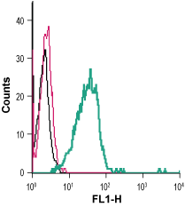 Anti-TREM2 (extracellular)-FITC Antibody