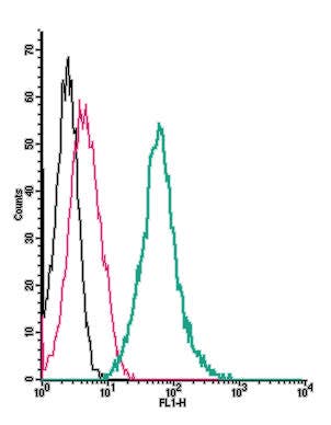 Anti-NPY1R (extracellular)-FITC Antibody