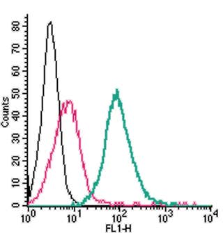Anti-Nectin-1/PVRL1 (extracellular)-FITC Antibody