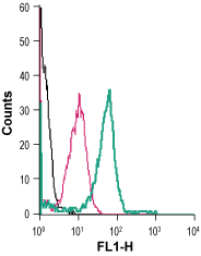 Anti-Neuropilin-2 (NRP2) (extracellular)-FITC Antibody