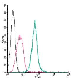 Anti-Neuropilin-1 (NRP1) (extracellular)-FITC Antibody