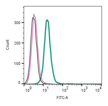 Anti-Neuropeptide FF Receptor 2 (extracellular) Antibody