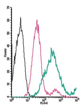 Anti-TMEM119 (extracellular)-APC Antibody