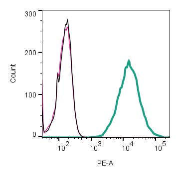 Anti-TMEM119 (extracellular)-PE Antibody