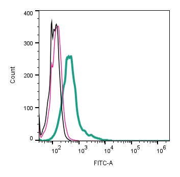 Anti-Robo1 (extracellular)-FITC Antibody