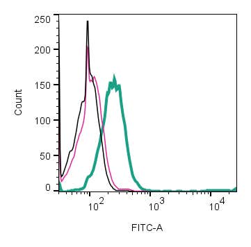 Anti-Robo2 (extracellular) Antibody