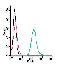 Anti-Neogenin (extracellular)-FITC Antibody