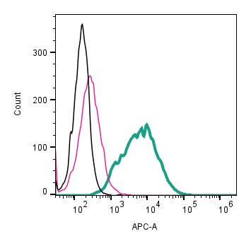 Anti-CD63 (extracellular)-APC Antibody