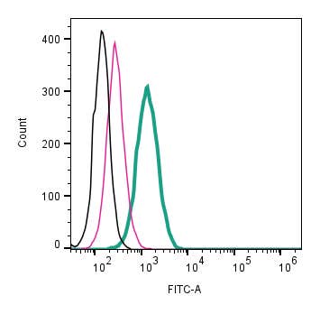 Anti-CD63 (extracellular)-FITC Antibody