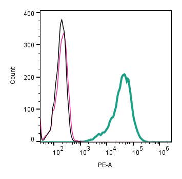 Anti-CD63 (extracellular)-PE Antibody