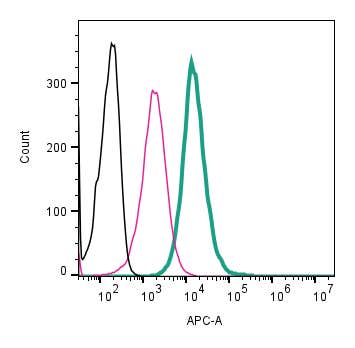 Anti-CD81 (extracellular)-APC Antibody