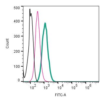 Anti-CD81 (extracellular)-FITC Antibody