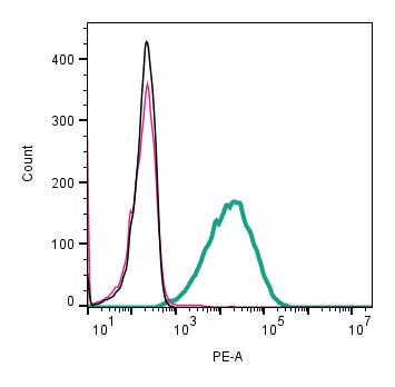 Anti-CD81 (extracellular)-PE Antibody