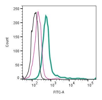 Anti-p75 NGF Receptor (extracellular)-FITC Antibody