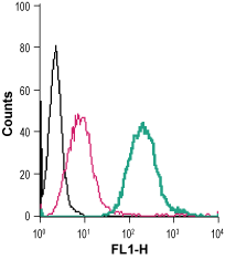 Anti-Sortilin (extracellular)-FITC Antibody
