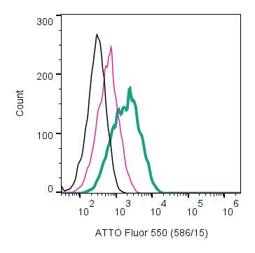 Anti-TrkA (extracellular)-ATTO Fluor-550 Antibody