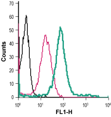 Anti-TrkA (extracellular)-FITC Antibody