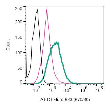 Anti-TrkA (extracellular)-ATTO Fluor-633 Antibody