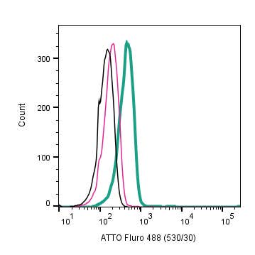 Anti-TrkB (extracellular)-ATTO Fluor-488 Antibody