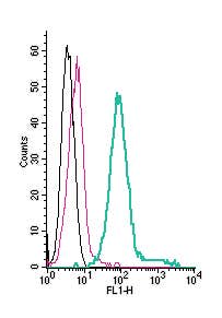 Anti-Ret Receptor (extracellular)-FITC Antibody