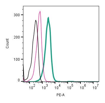 Anti-Human ASCT2/SLC1A5 (extracellular)-PE Antibody