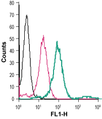 Anti-SLC7A2 (extracellular)-FITC Antibody
