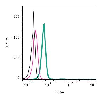 Anti-LAT2 (SLC7A8) (extracellular)-FITC Antibody