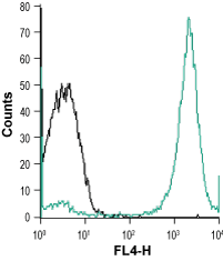 Anti-NIPAL4 (extracellular) Antibody