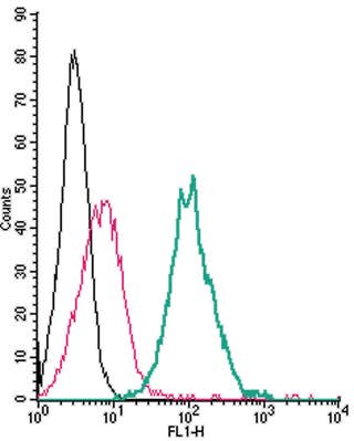 Anti-SLC11A1/NRAMP1 (extracellular)-FITC Antibody