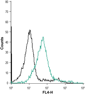 Mouse Anti-Human Orai1 (extracellular)-Biotin Antibody