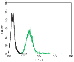 Mouse Anti-Rat p75 NGF Receptor (extracellular)-FITC Antibody