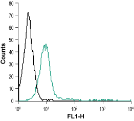 Anti-µ-Opioid Receptor (OPRM1) (extracellular)-ATTO Fluor-488 Antibody
