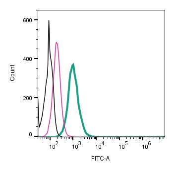 Anti-K<sub>V</sub>1.3 (KCNA3) (extracellular)-FITC Antibody