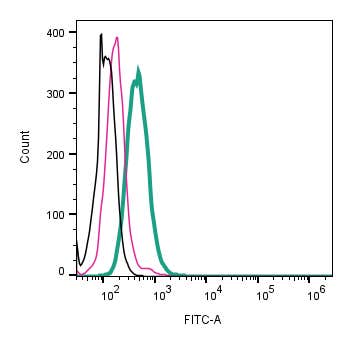 Anti-K<sub>V</sub>1.3 (KCNA3) (extracellular)-FITC Antibody