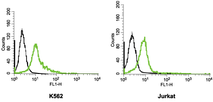 Anti-KCNH2 (HERG) (extracellular)-FITC Antibody