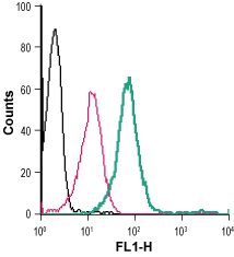 Anti-K<sub>ir</sub>2.1/KCNJ2 (extracellular)-FITC Antibody
