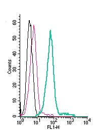Anti-KCNQ1 (extracellular)-FITC Antibody