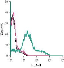 Anti-P2X1 Receptor (extracellular)-FITC Antibody