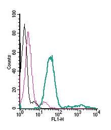 Anti-P2X7 Receptor (extracellular)-FITC Antibody