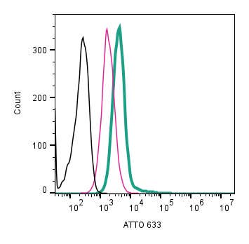 Anti-P2X7 Receptor (extracellular)-ATTO Fluor-633 Antibody