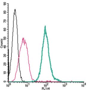 Anti-P2Y14 (extracellular)-FITC Antibody