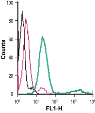 Anti-P2Y12 Receptor (extracellular)-FITC Antibody