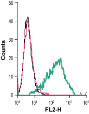 Anti-P2Y12 Receptor (extracellular)-PE Antibody