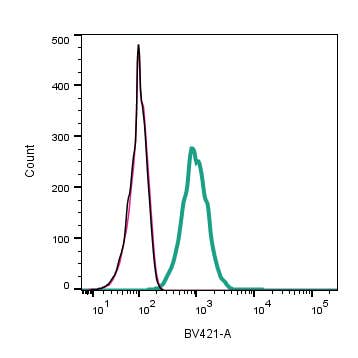 Anti-P2Y12 Receptor (extracellular) Antibody