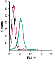 Anti-P2X4 Receptor (extracellular)-FITC Antibody