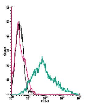 Anti-P2X3 Receptor (extracellular)-FITC Antibody