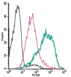 Anti-PAR4 (F2RL3) (extracellular)-APC Antibody