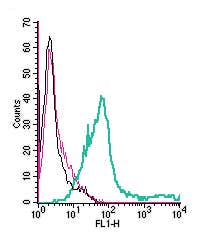 Anti-Platelet-activating factor receptor (extracellular)-FITC Antibody