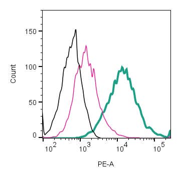 Anti-Prostaglandin E Receptor EP2/PTGER2 (extracellular)-PE Antibody