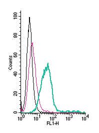 Anti-Prostacyclin Receptor (PTGIR) (extracellular)-FITC Antibody